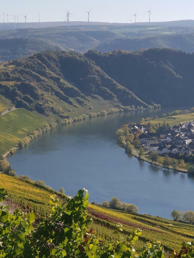 Kleines Ferienhaus Nicole Piesport Zewnętrze zdjęcie
